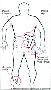 Image of what a whole-body scanner shows