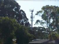 Image of the antenna
