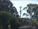 Antenna location