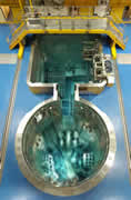 OPAL reactor pools