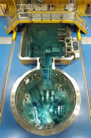 OPAL reactor pools