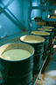 Drums of yellowcake