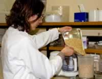scientist at work