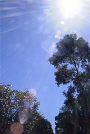 bright sunshine