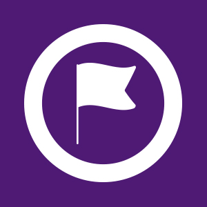 Racing finish flag