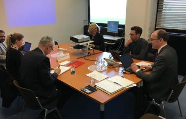 The IRRS team