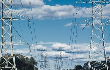 A series of large powerlines cascading into the horizon with large trees and a cloudy sky in the backdrop.