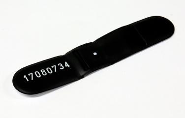 Full length shot of extremity monitor on table