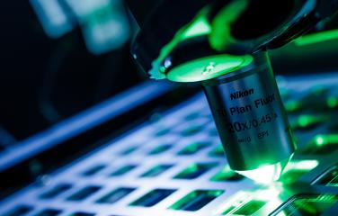 The focal point of a microscope aimed at an array of small square holes in a sheet of metal is bathed in green laser light.
