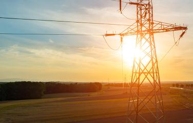 Powerlines overlooking a field and a line of trees with a sunset shining through.