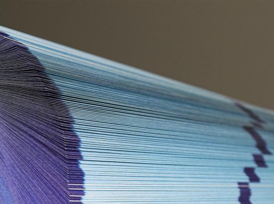 Close up photo of pages in document