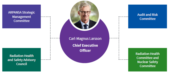 Diagram showing ARPANSA governance - CEO, Strategic Mgt Cttee, Audit & Risk Cttee, Council and Committees