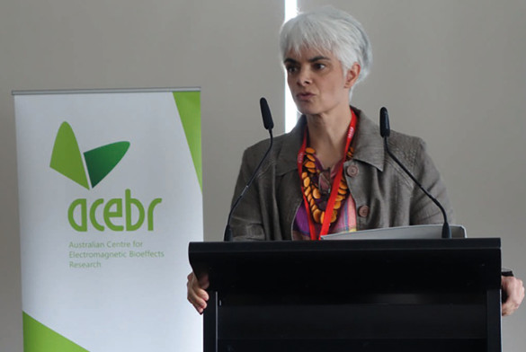 Dr Emilie Van Deventer - Team Leader, Radiation Programme, World Health Organization presenting at Science and Wireless 2014