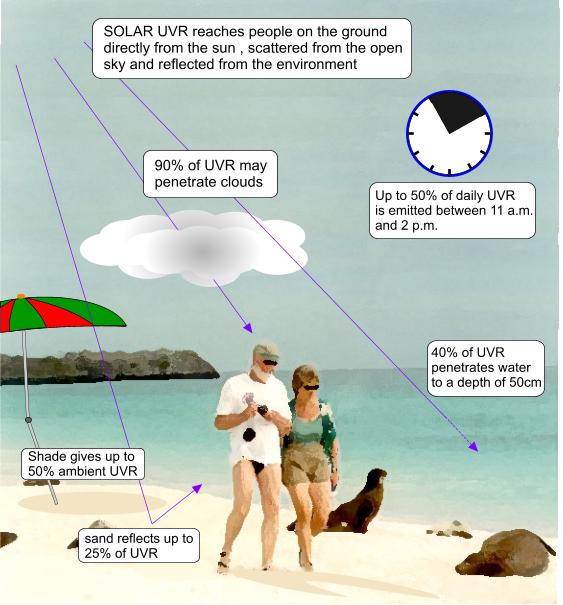 Exposure to ultraviolet radiation Image showing couple walking on the beach and where exposure to UVR might occur